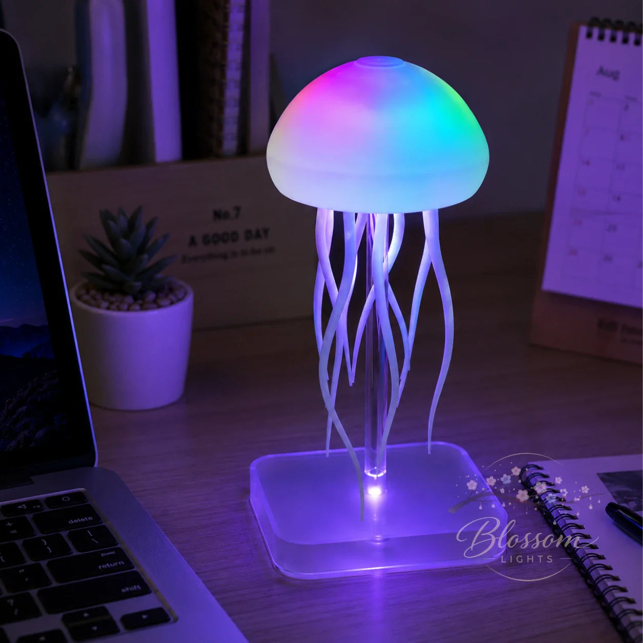 Aqua Lume