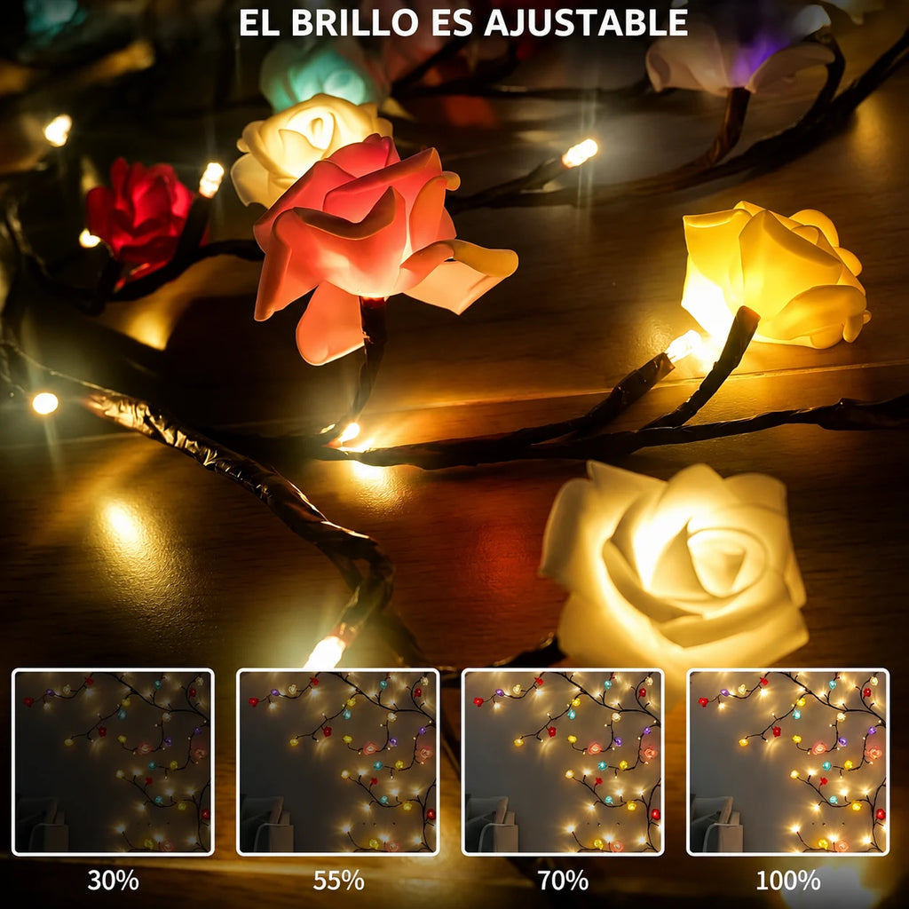 El brillo de Amore Lights es ajustable: la misma guirnalda al 30 %, 55 %, 70 % y 100 %